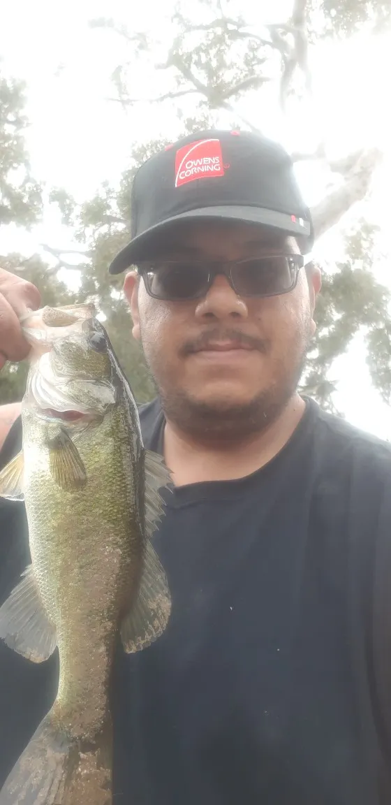 Post image from christian-herrera