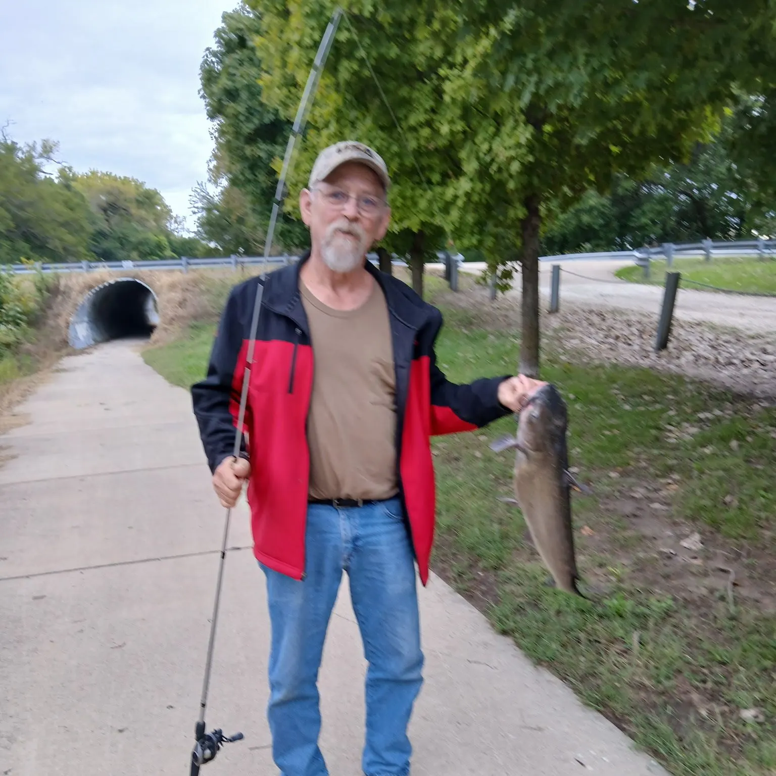 Channel catfish caught on Fishbrain