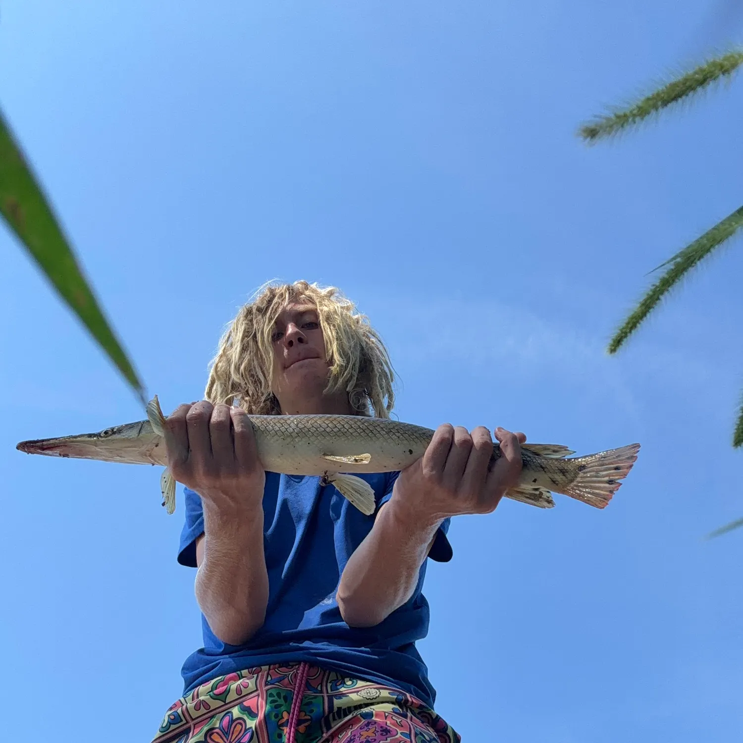 Shortnose gar caught on Fishbrain