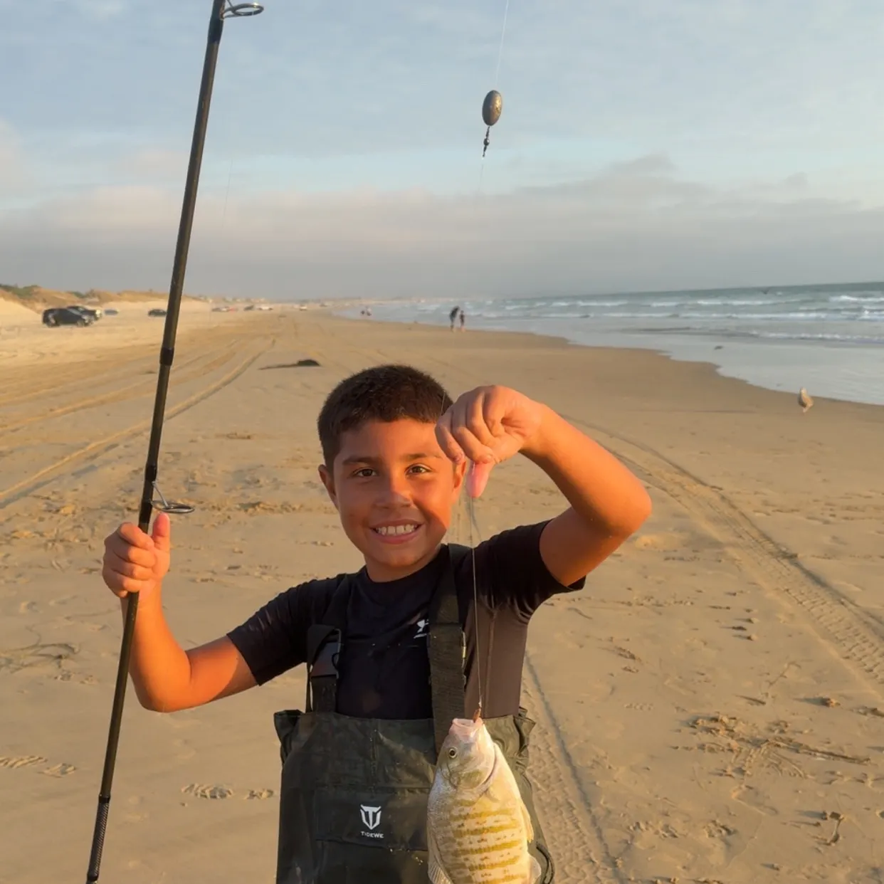 The most recent Barred surfperch catches on Fishbrain