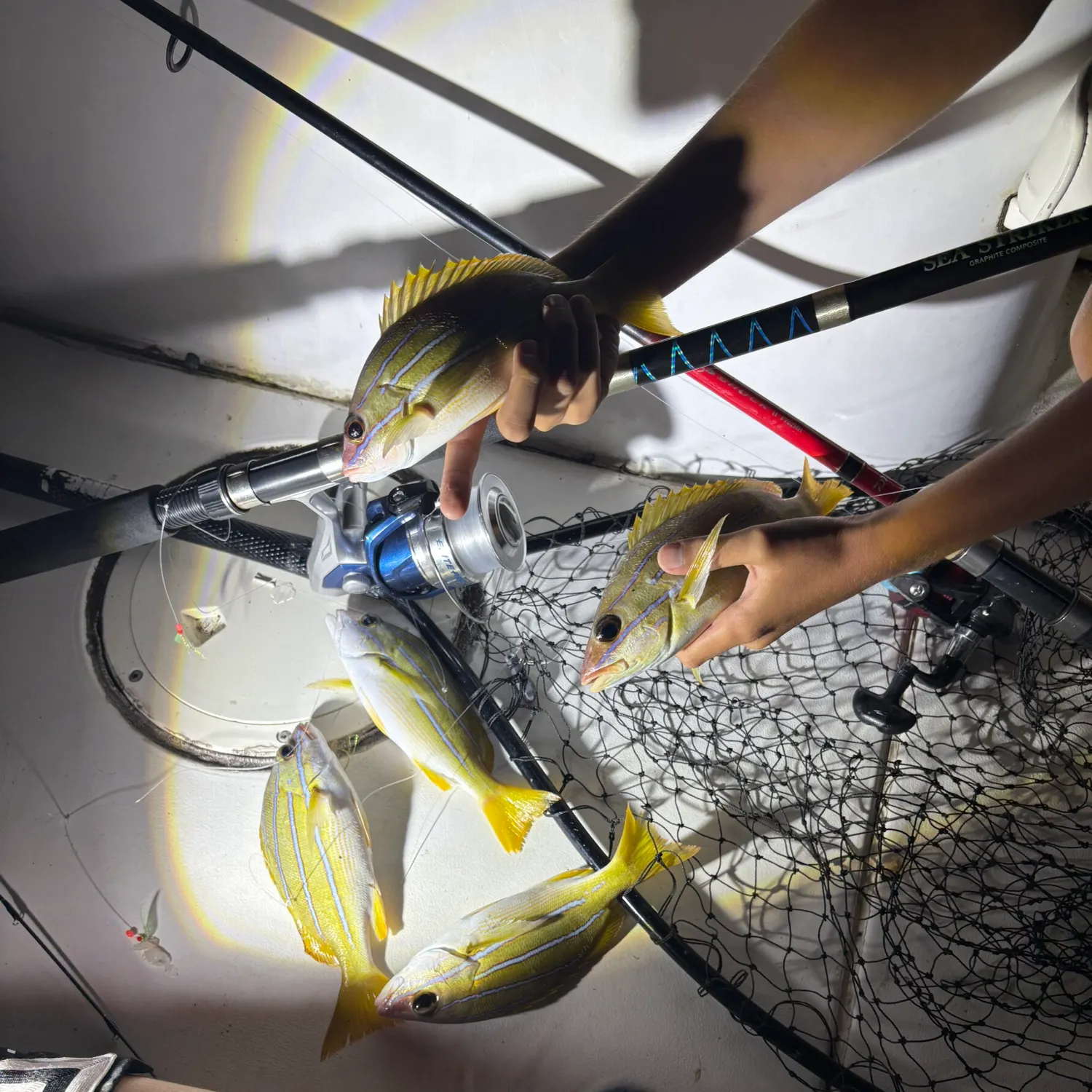 recently logged catches