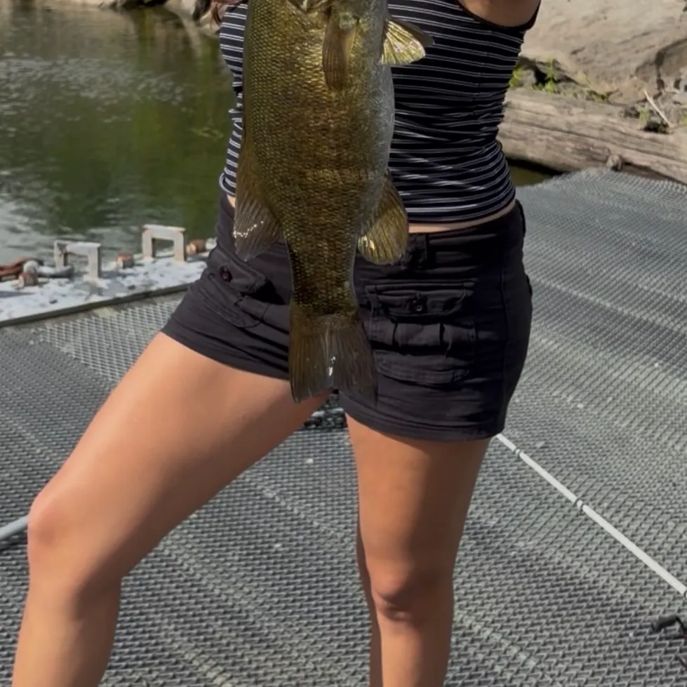 Smallmouth bass caught on Fishbrain