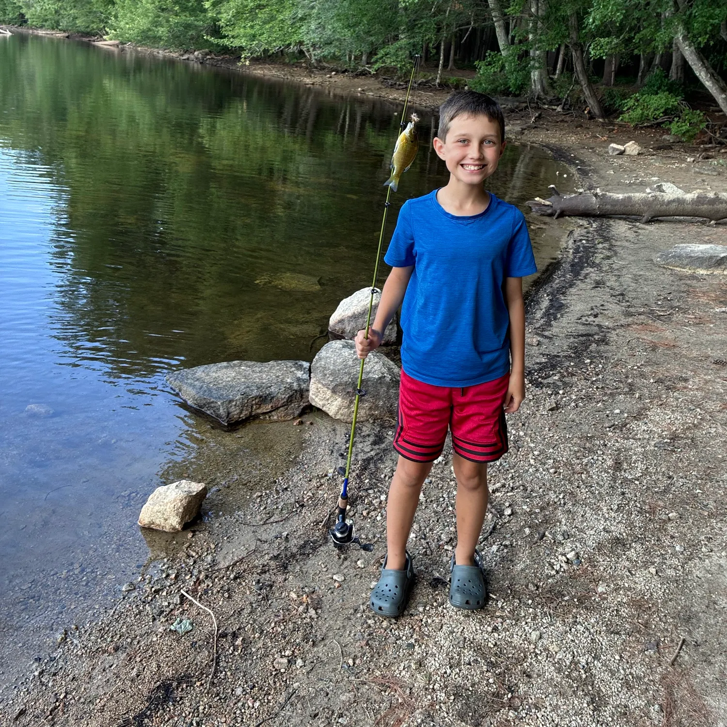The most recent Smallscale yellowfish catches on Fishbrain