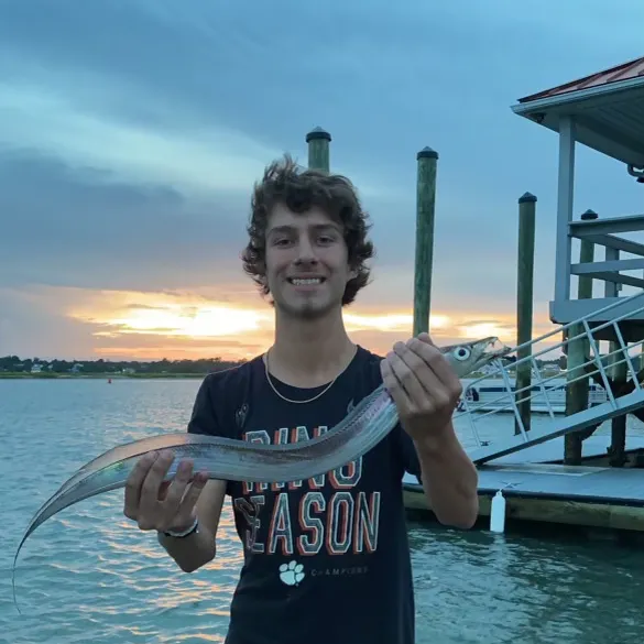 The most recent Silver scabbardfish catches on Fishbrain