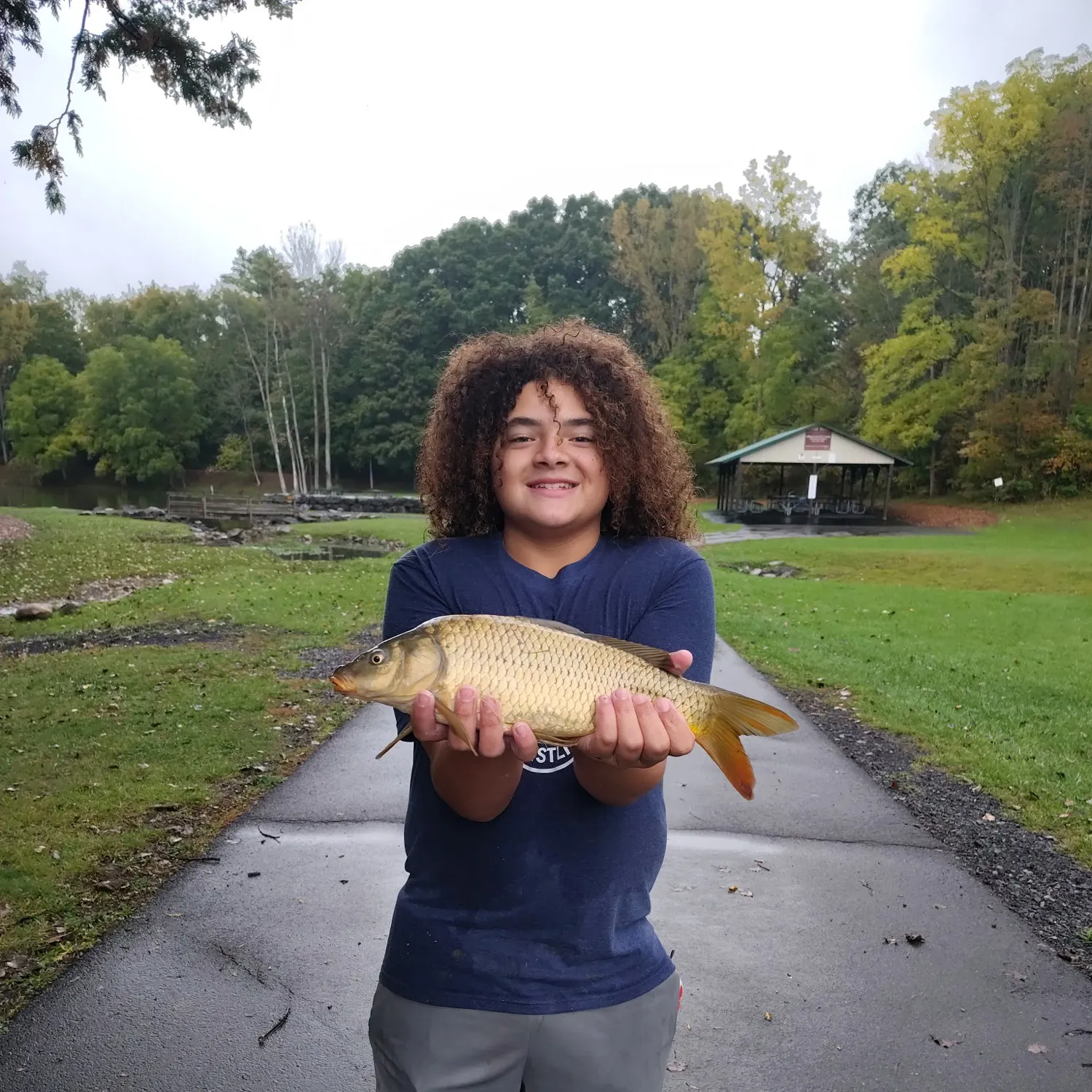 Common carp caught on Fishbrain