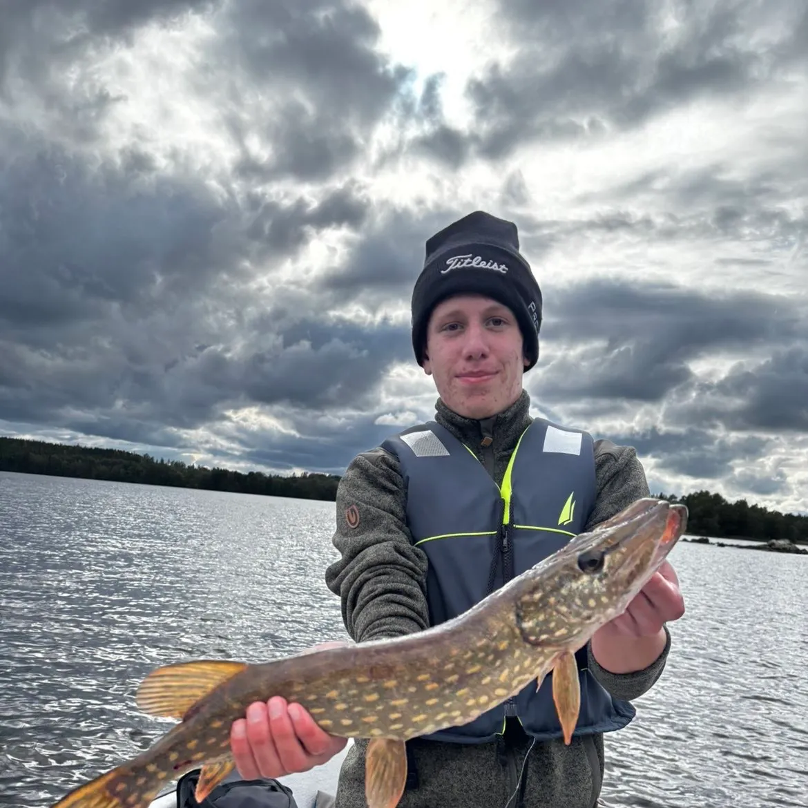 Northern pike caught on Fishbrain