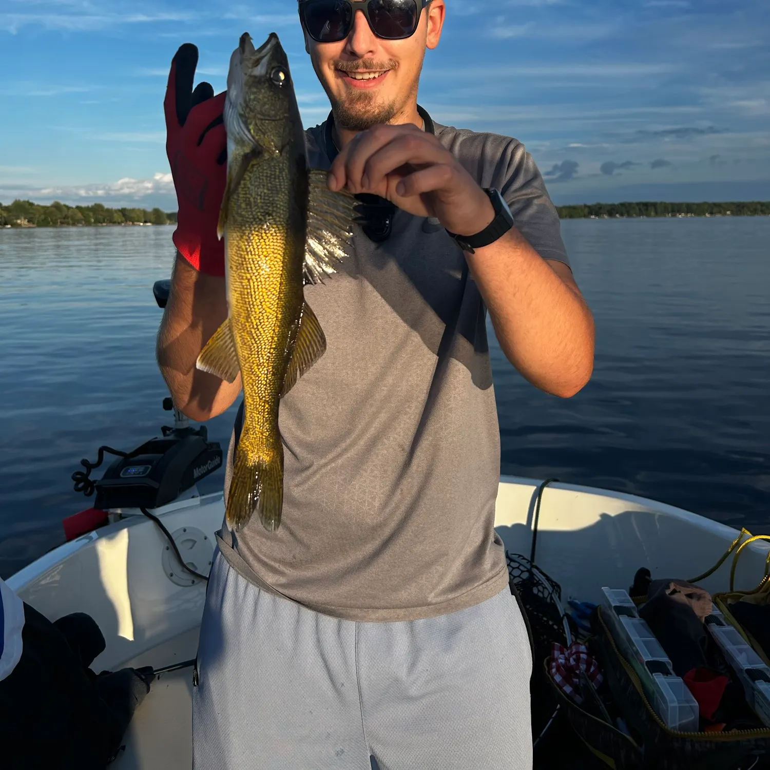 Walleye caught on Fishbrain
