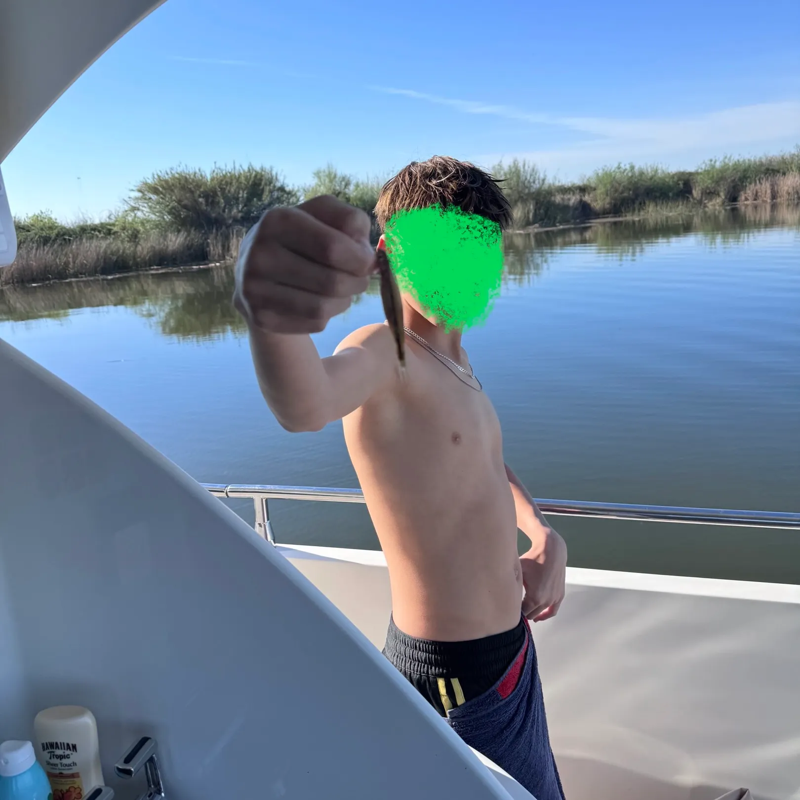 The most recent Surf smelt catches on Fishbrain