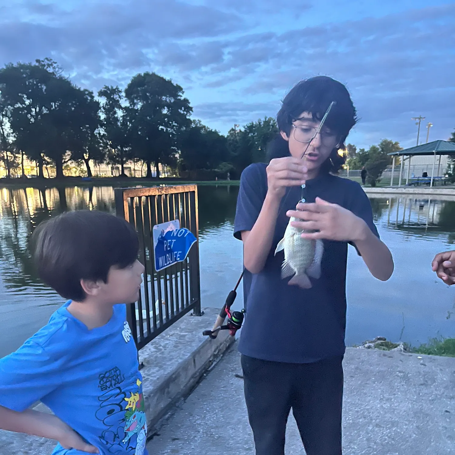 catch