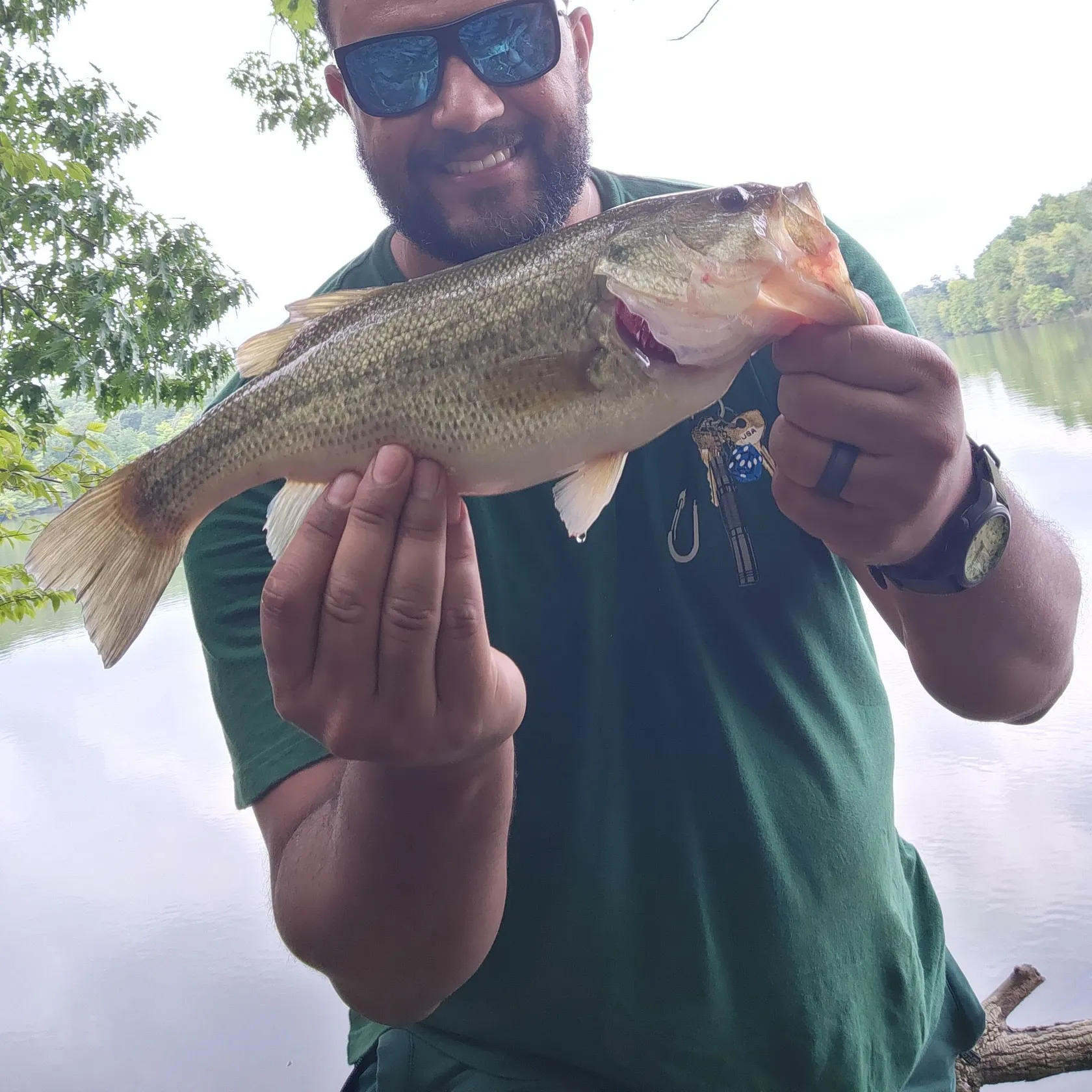 Largemouth bass caught on Fishbrain