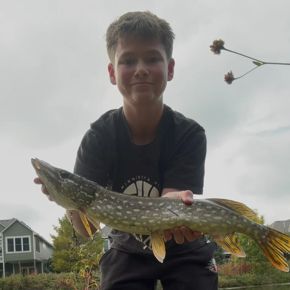 Northern pike caught on Fishbrain