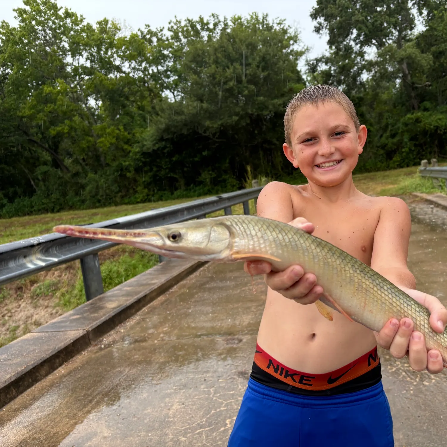 Shortnose gar caught on Fishbrain