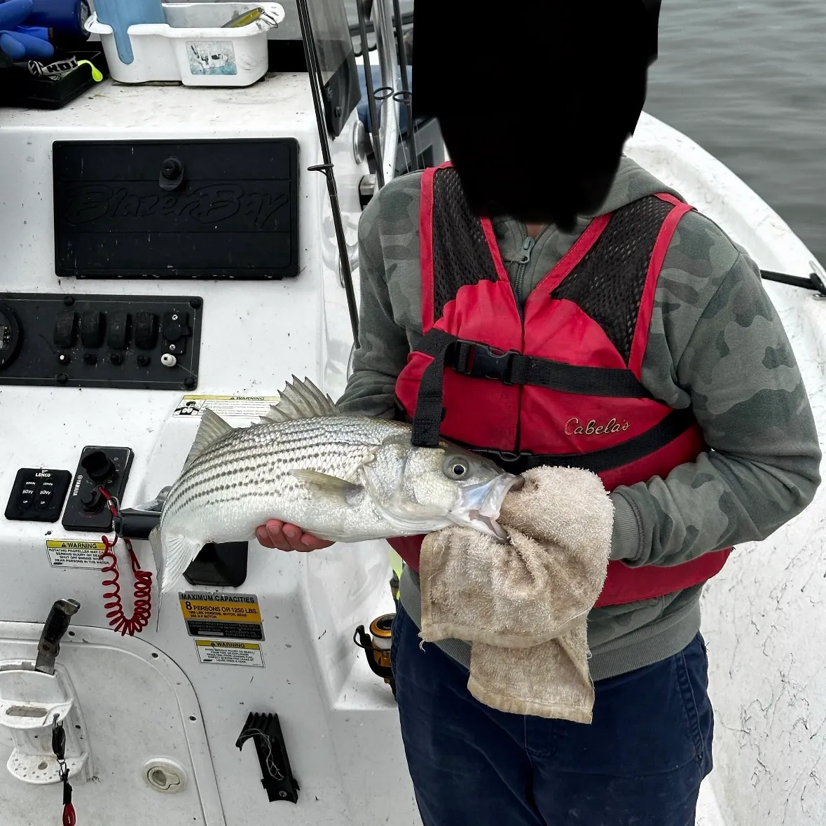 Wiper caught on Fishbrain