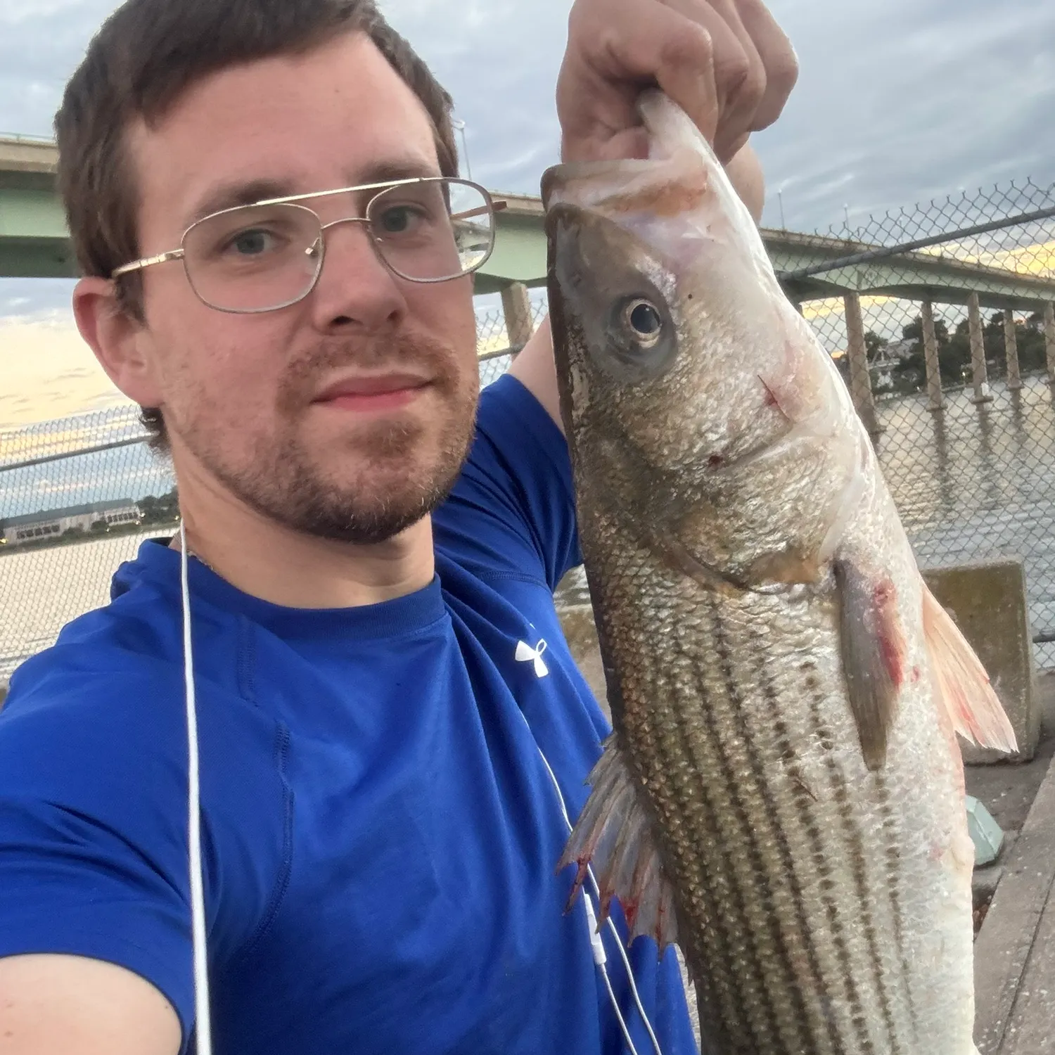 Striped bass caught on Fishbrain