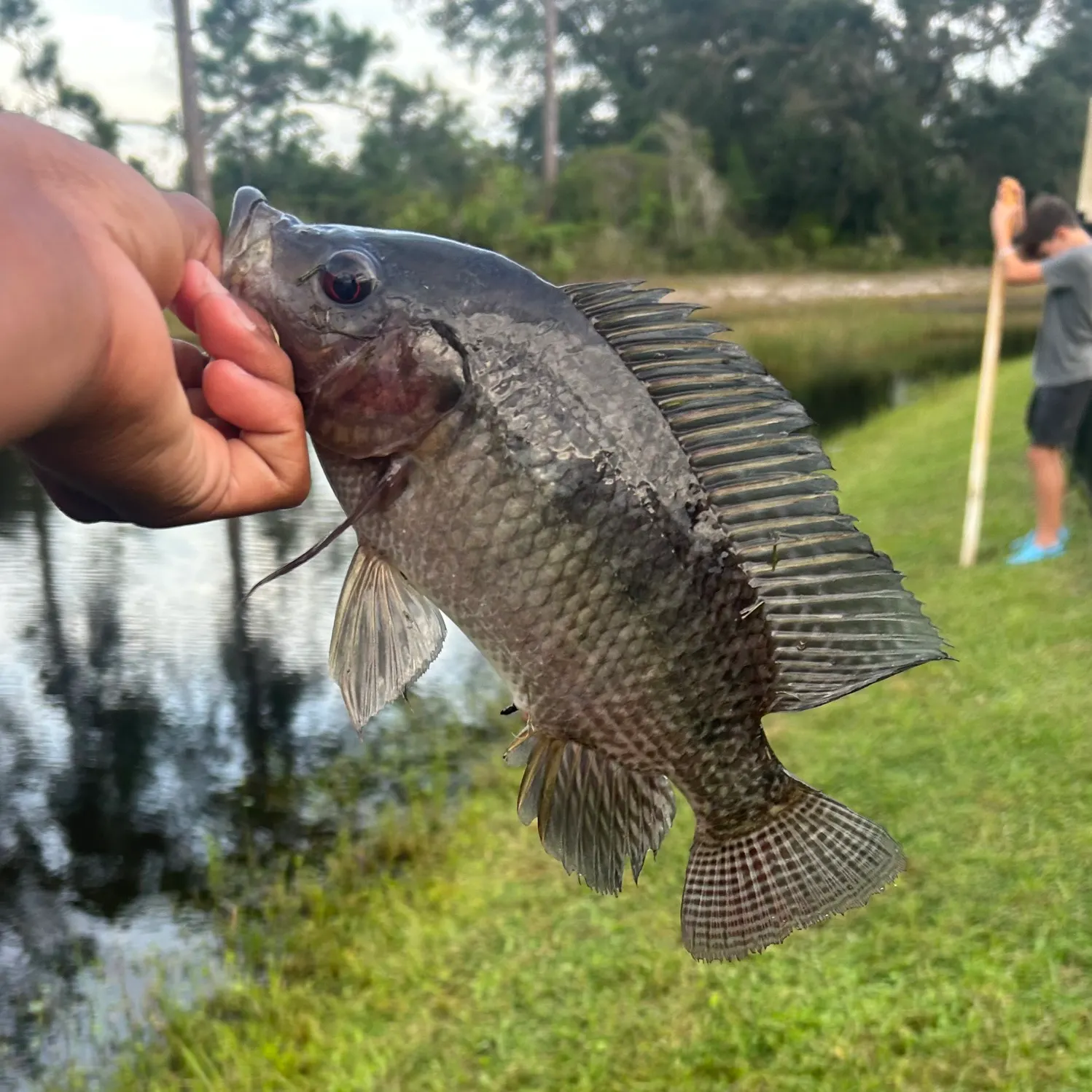 catch