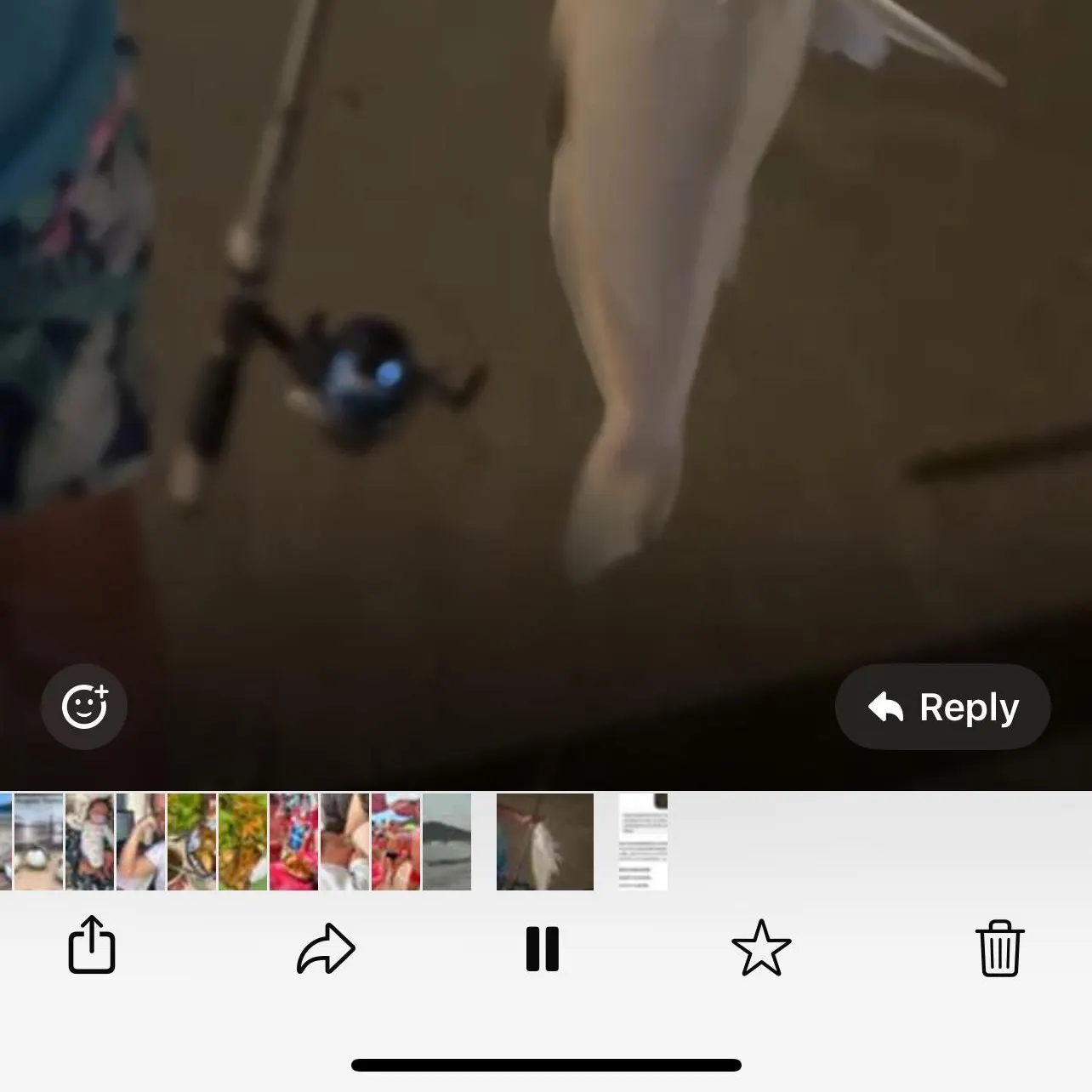 catch