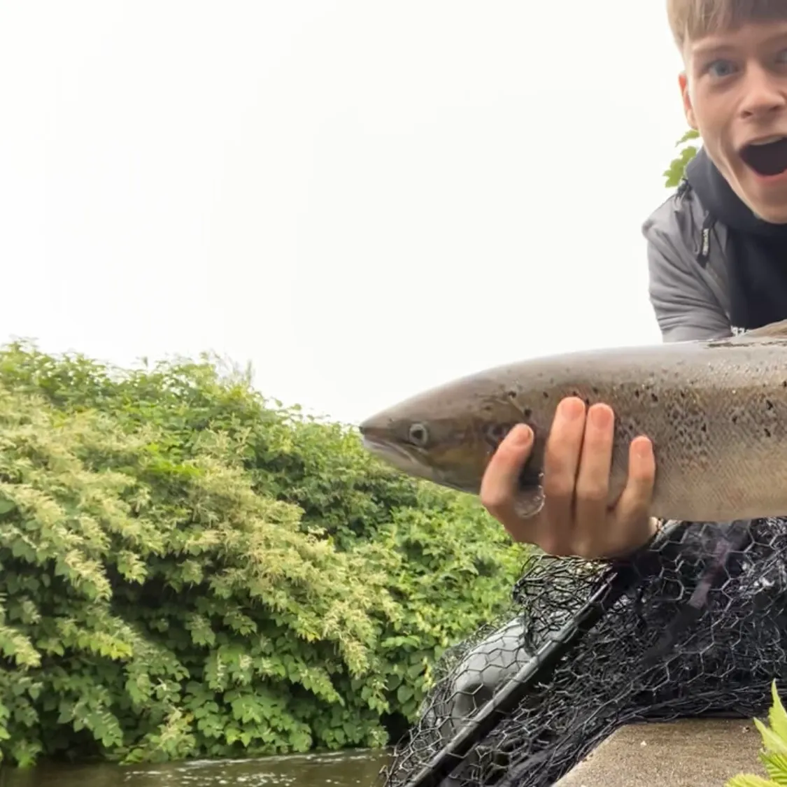 Atlantic salmon caught on Fishbrain