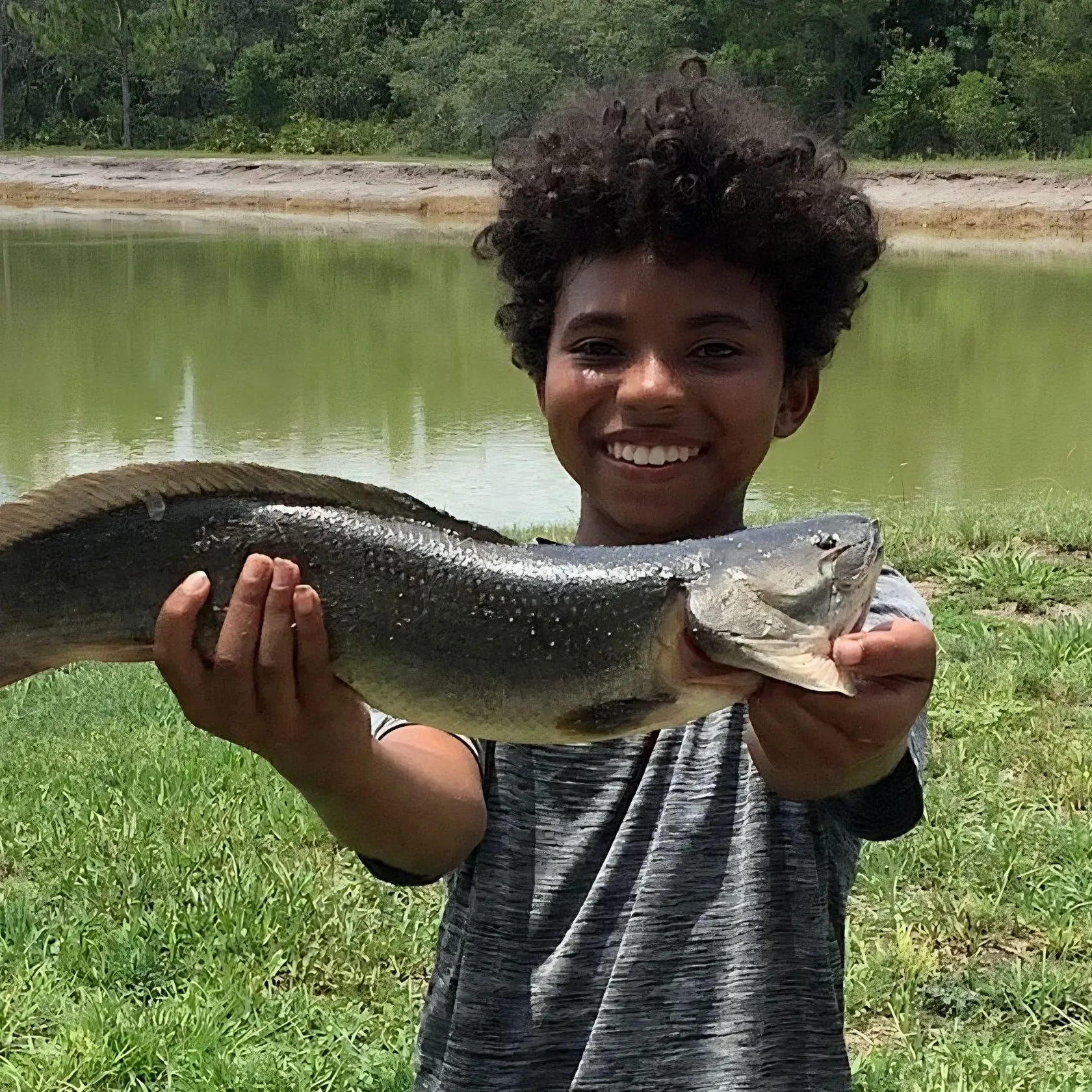 The most recent Ruddy bowfin catches on Fishbrain