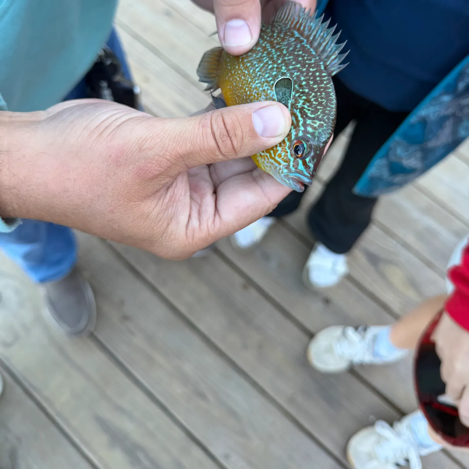 catch