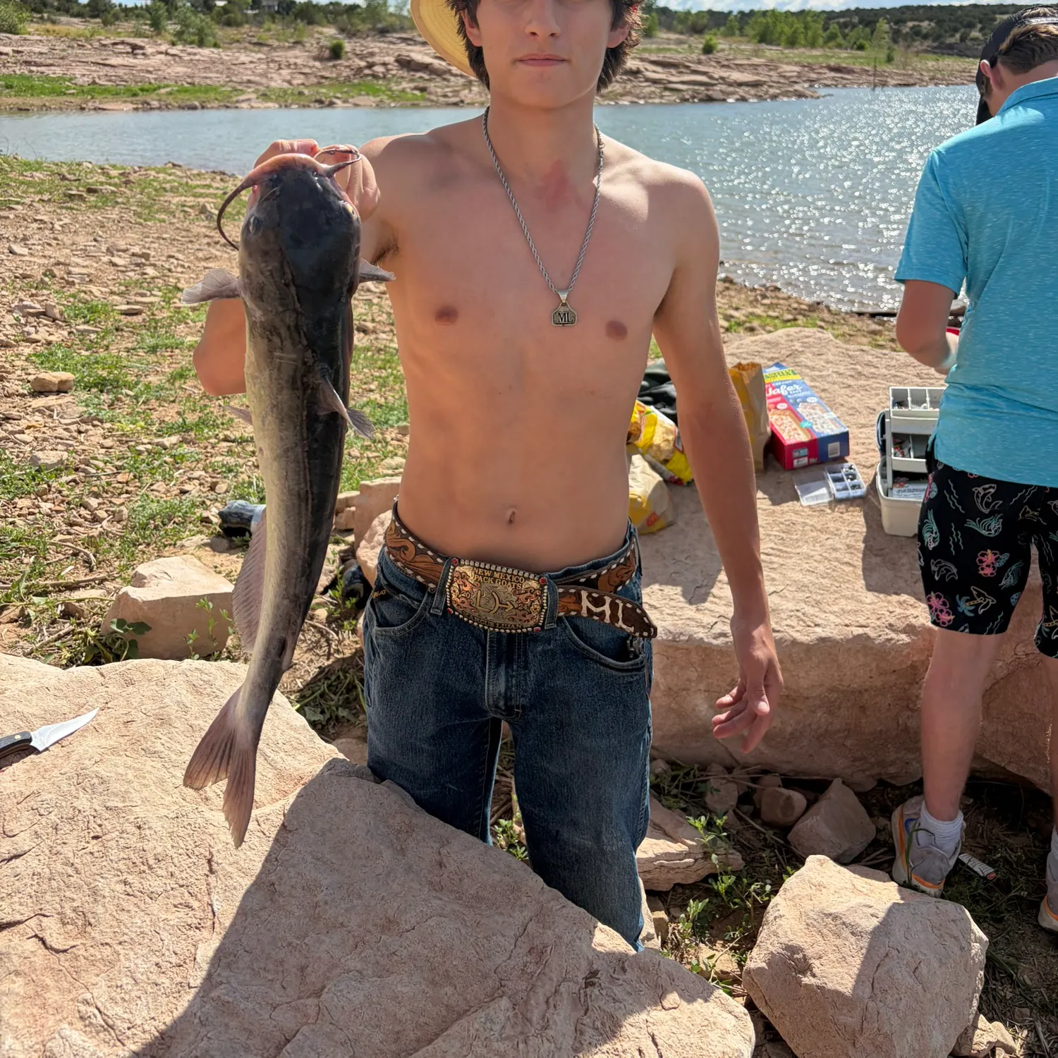 Channel catfish caught on Fishbrain