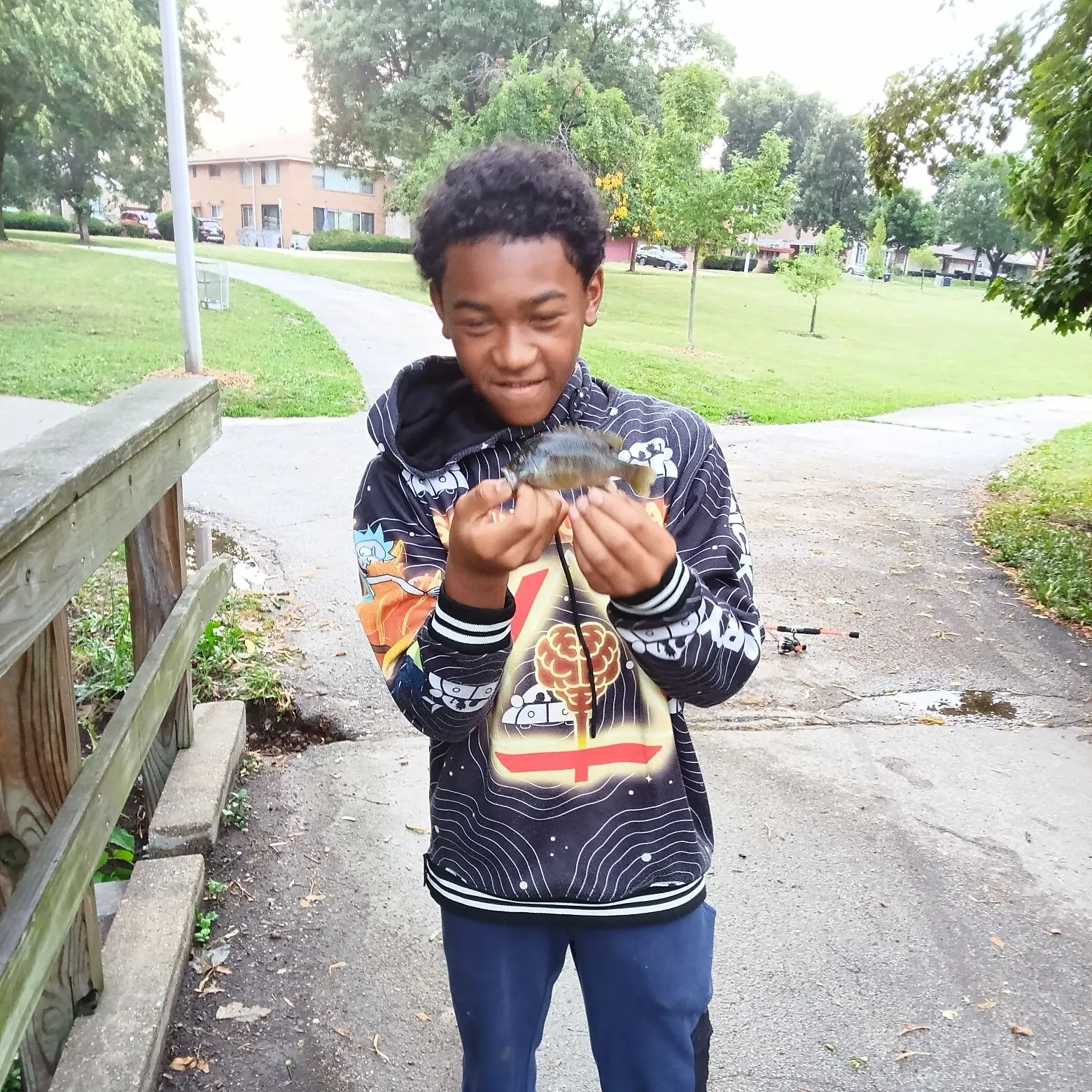 Spotted sunfish caught on Fishbrain