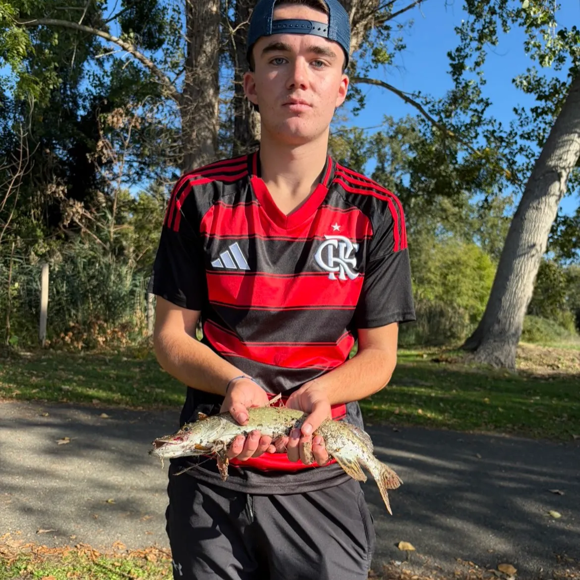 Northern pike caught on Fishbrain
