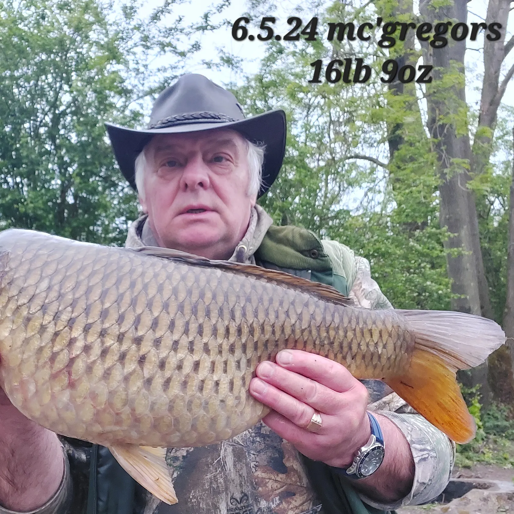 recently logged catches