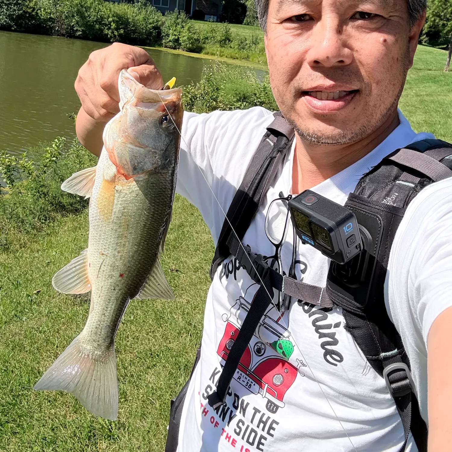 Largemouth bass caught on Fishbrain