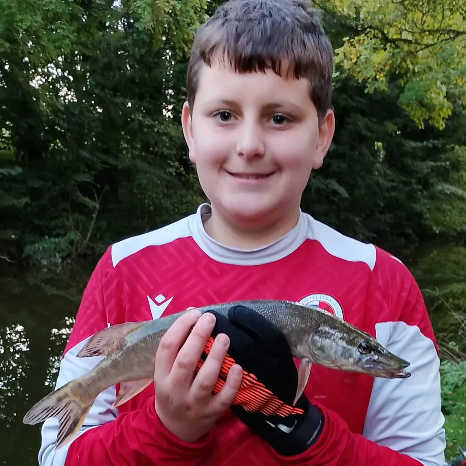 Northern pike caught on Fishbrain