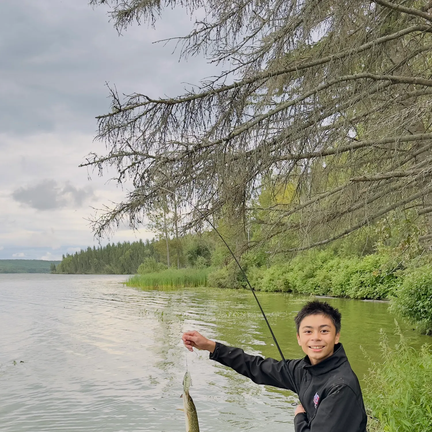 Northern pike caught on Fishbrain