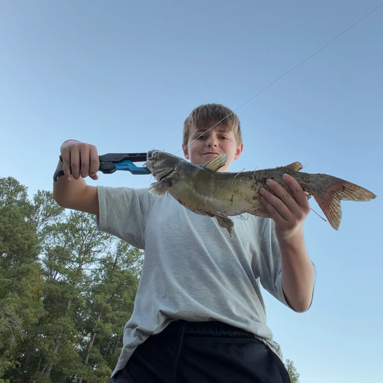 Channel catfish caught on Fishbrain