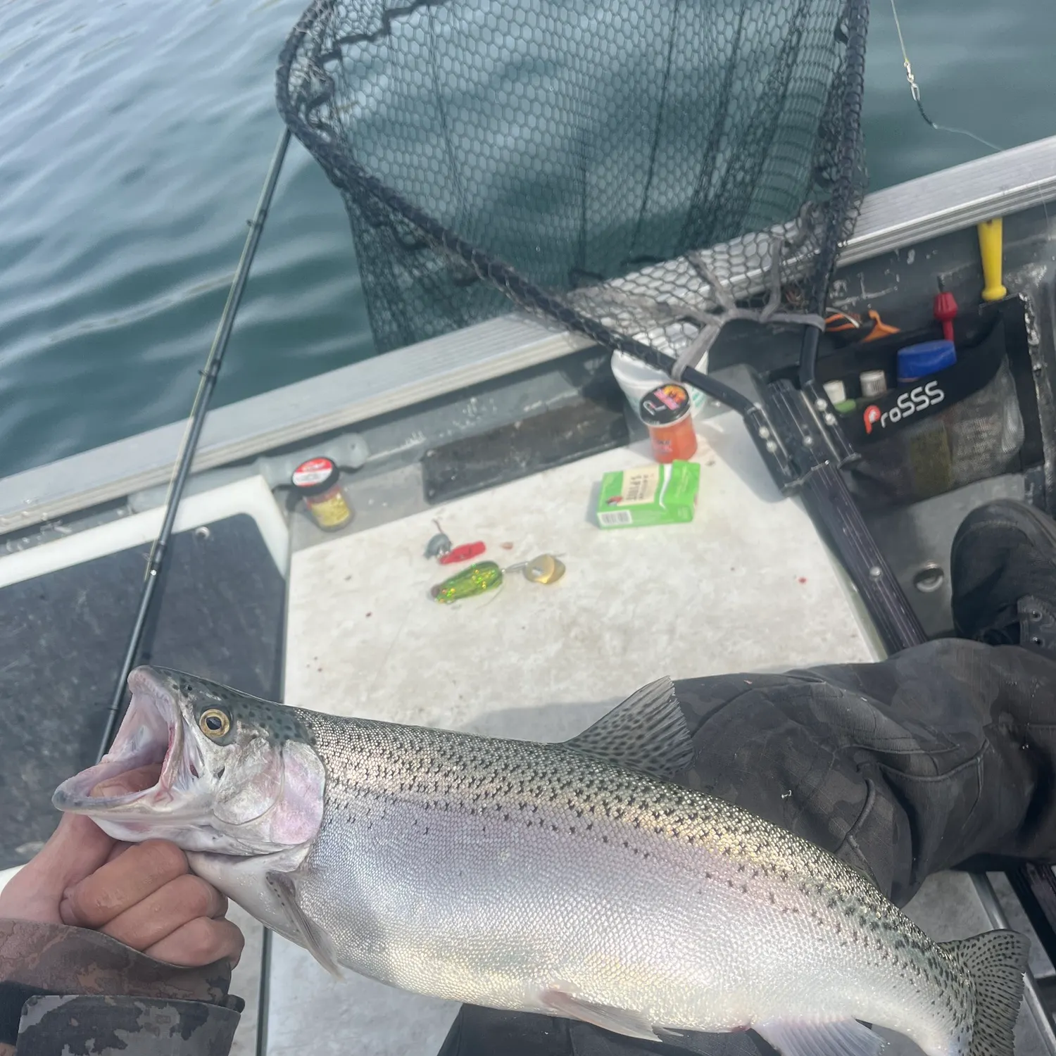 Rainbow trout caught on Fishbrain