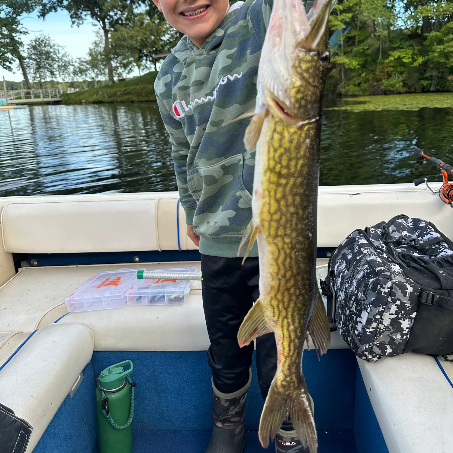 Chain pickerel caught on Fishbrain