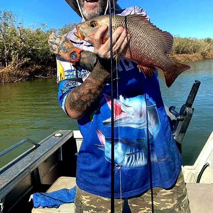 Mangrove snapper caught on Fishbrain