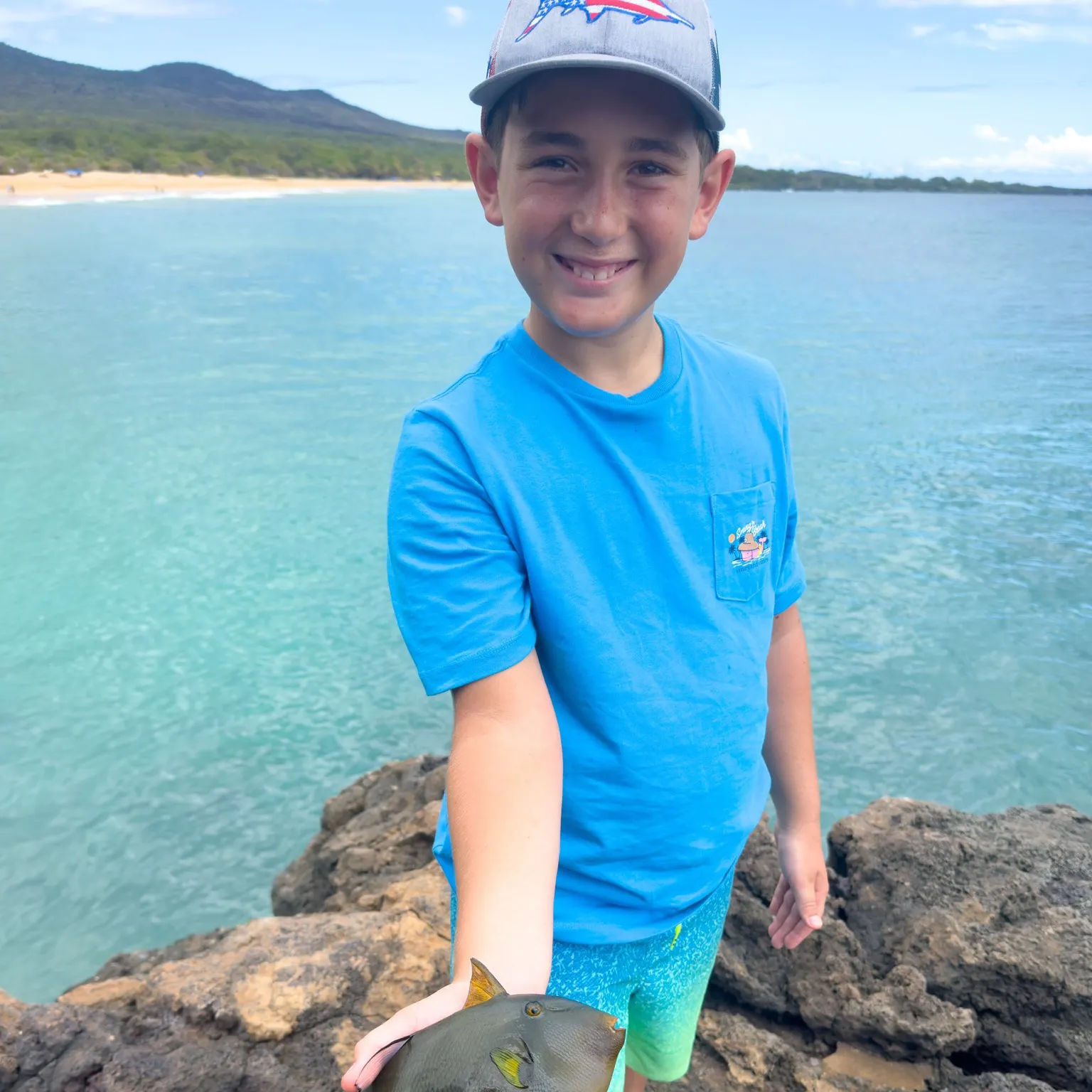 The most recent Black triggerfish catches on Fishbrain