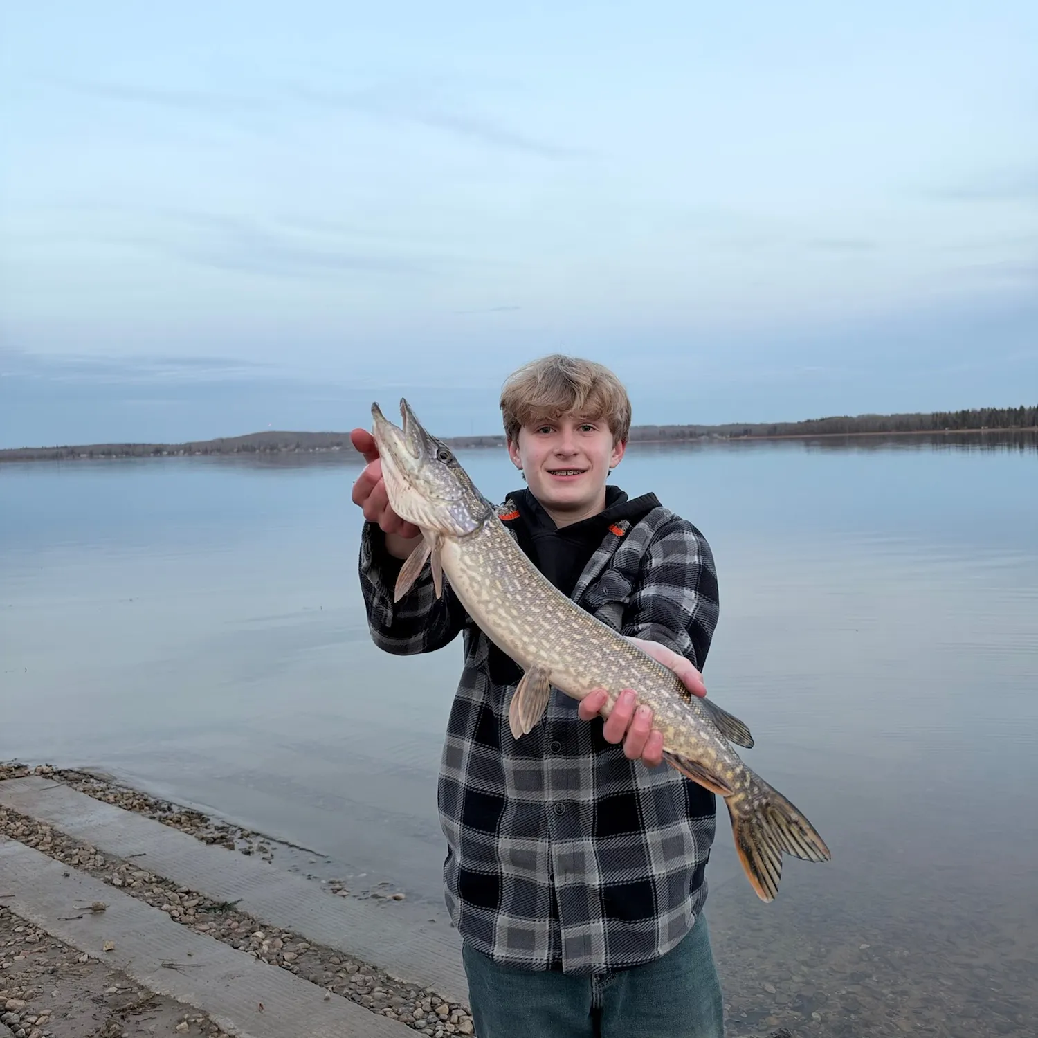 Northern pike caught on Fishbrain