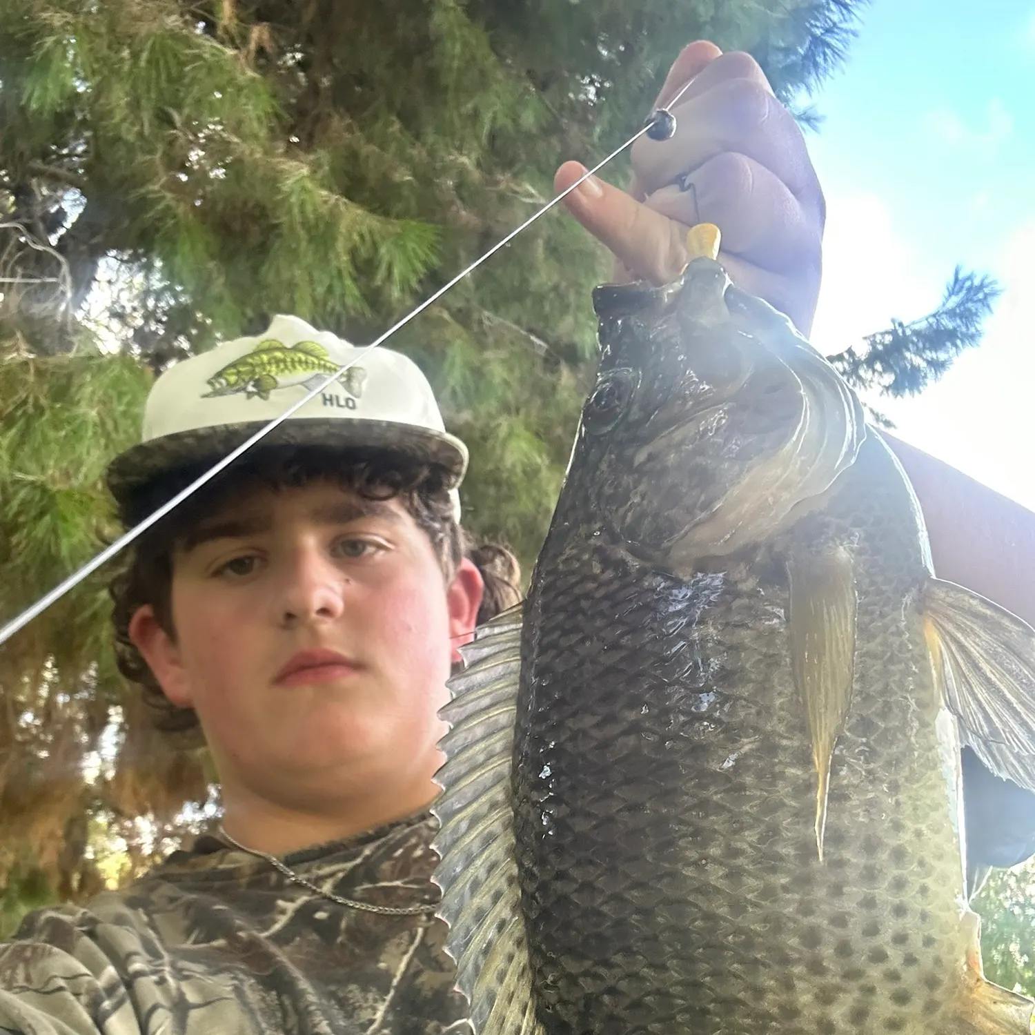 The most recent Nile tilapia catches on Fishbrain