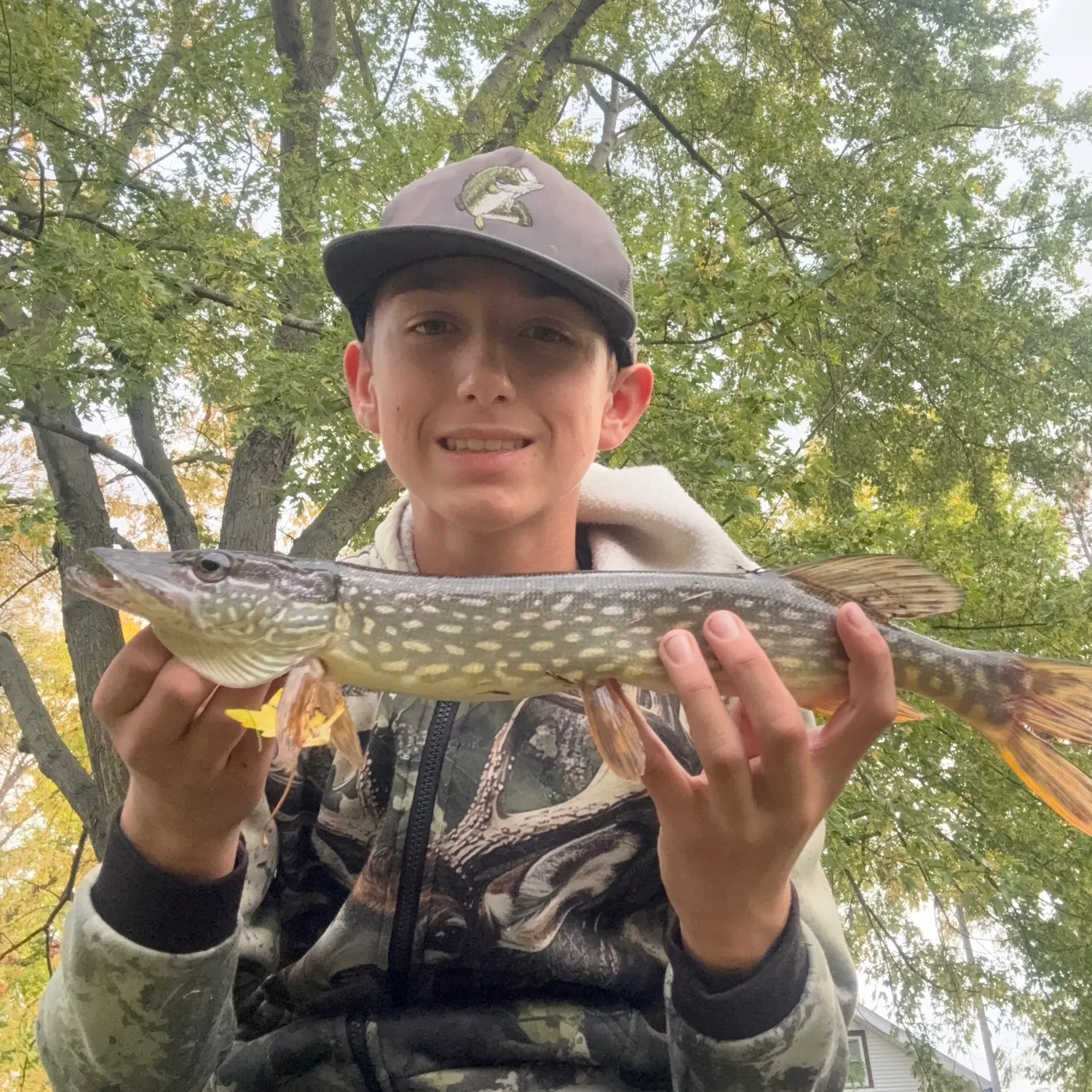 Northern pike caught on Fishbrain