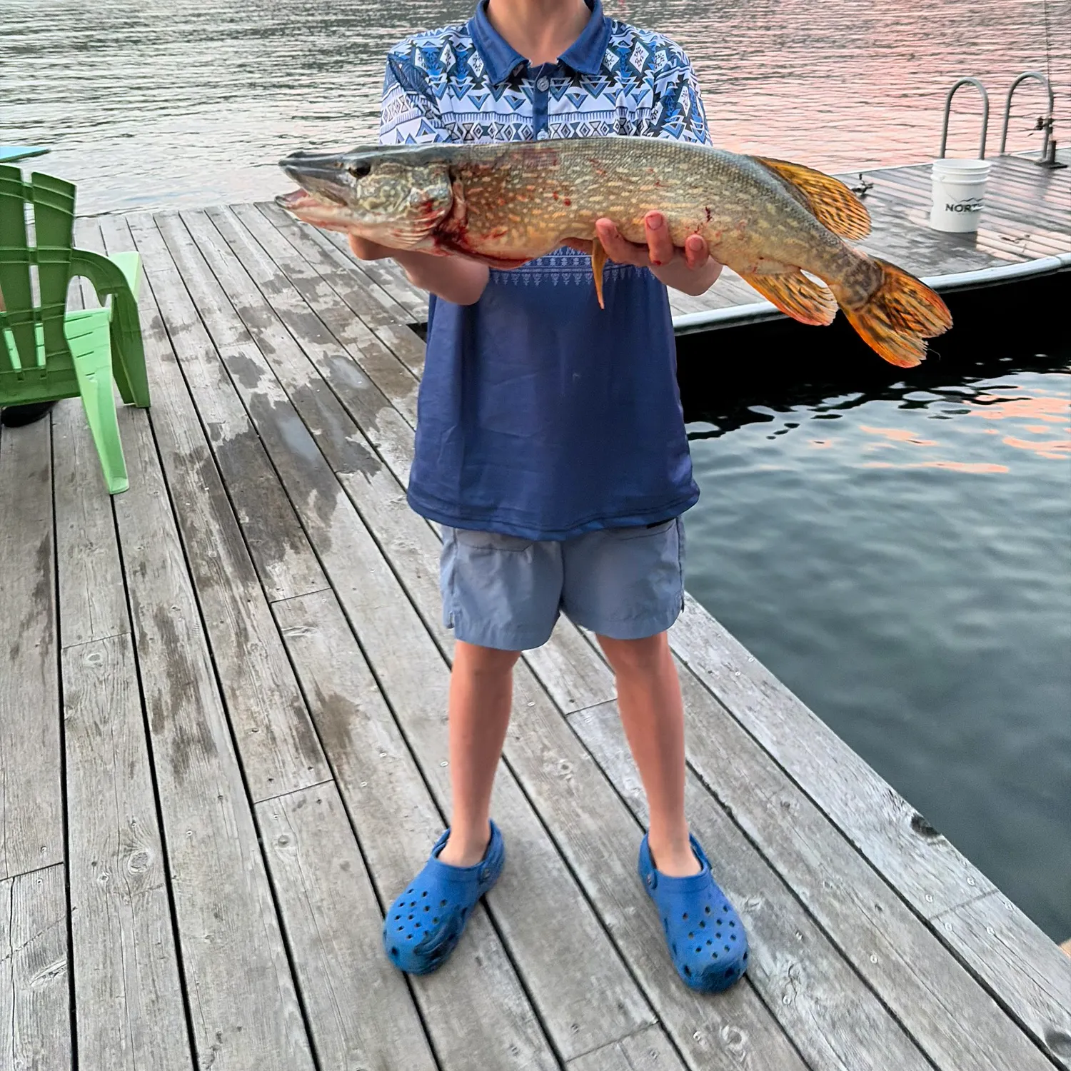 Northern pike caught on Fishbrain