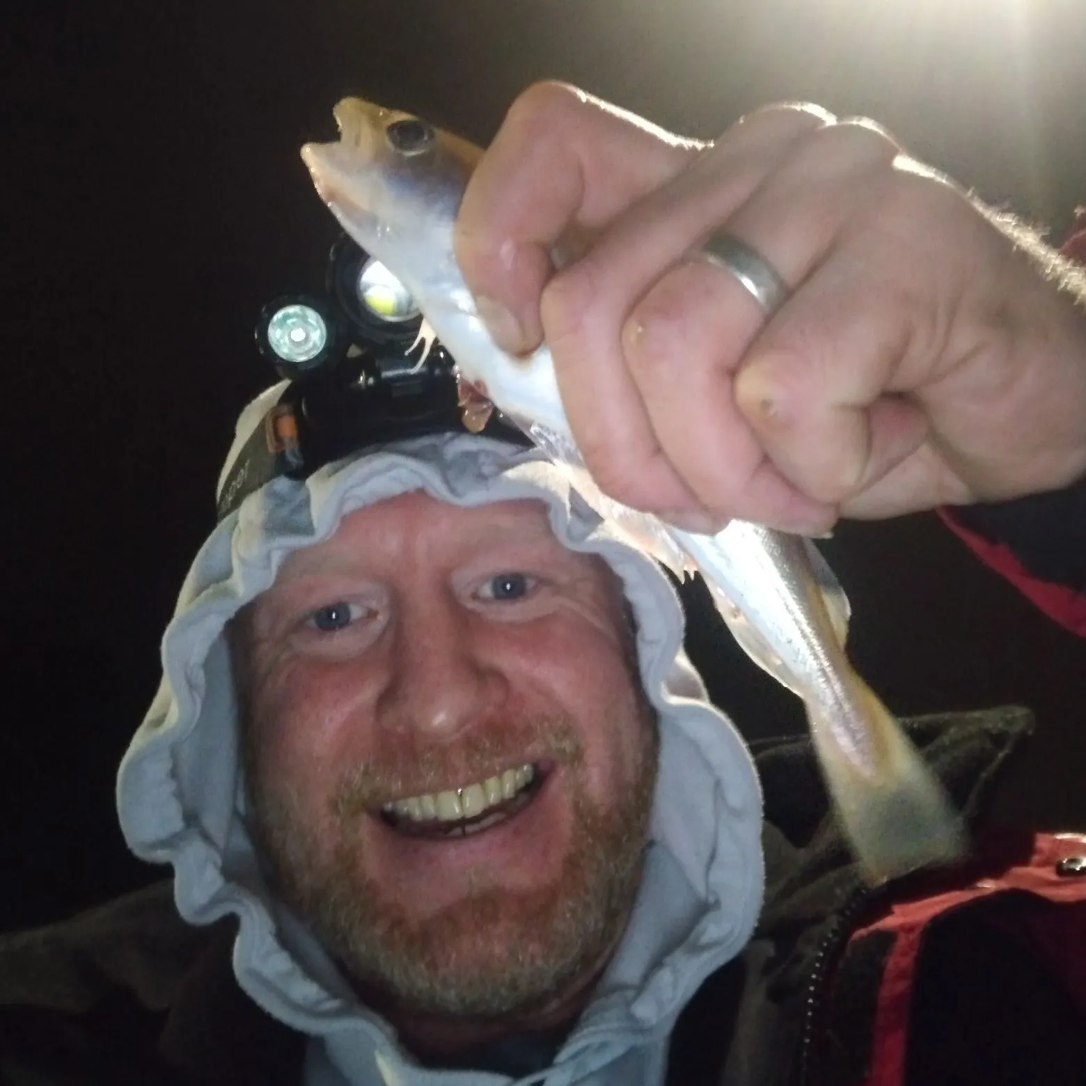 The most recent Whiting catches on Fishbrain