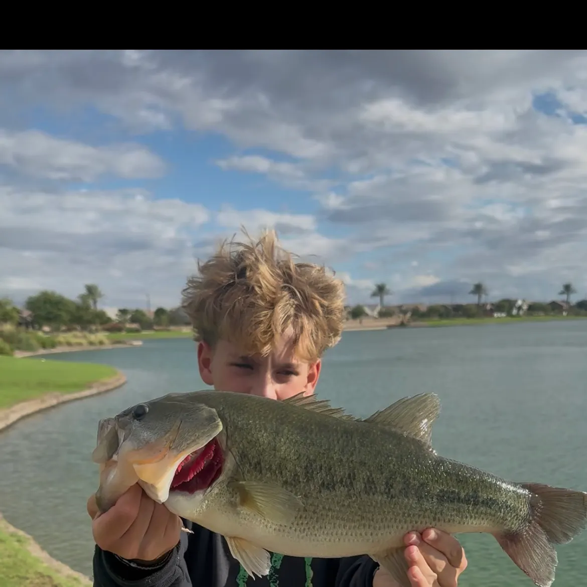 Largemouth bass caught on Fishbrain