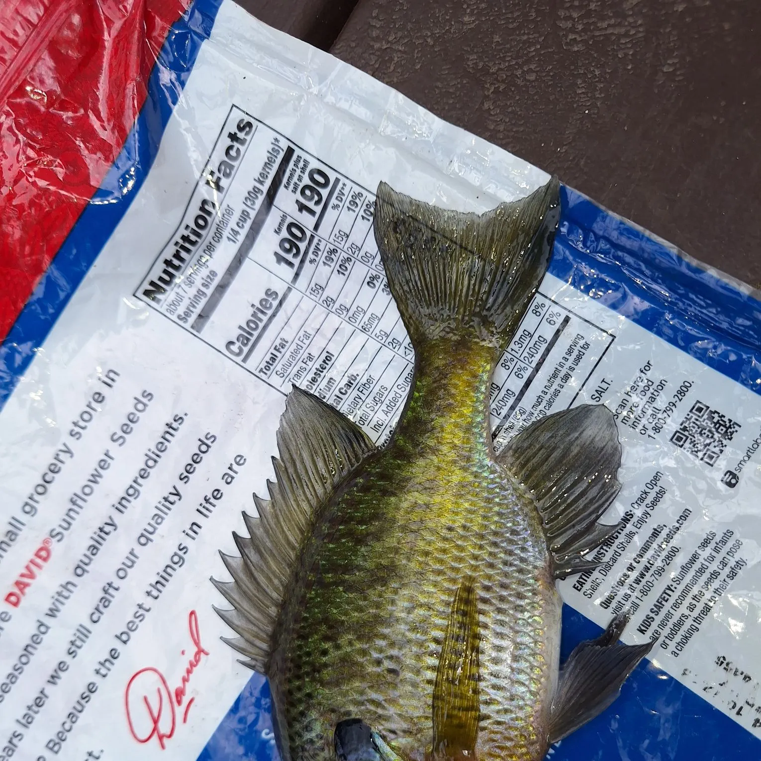 Bluegill caught on Fishbrain