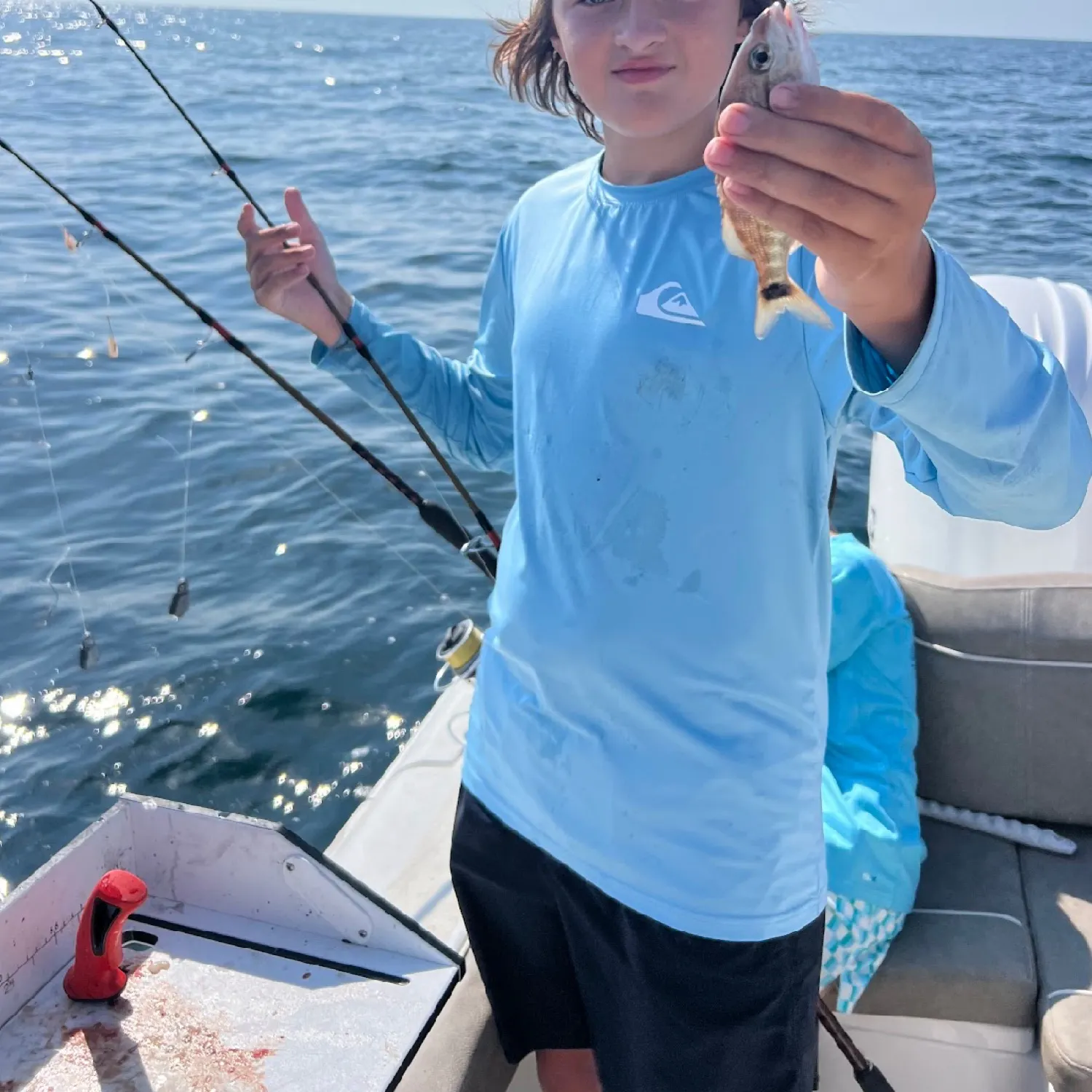 The most recent Spottail seabream catches on Fishbrain