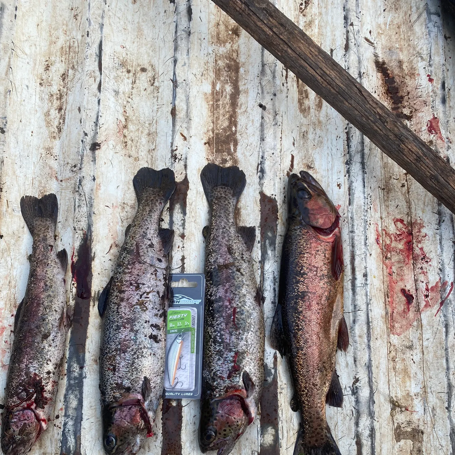 recently logged catches