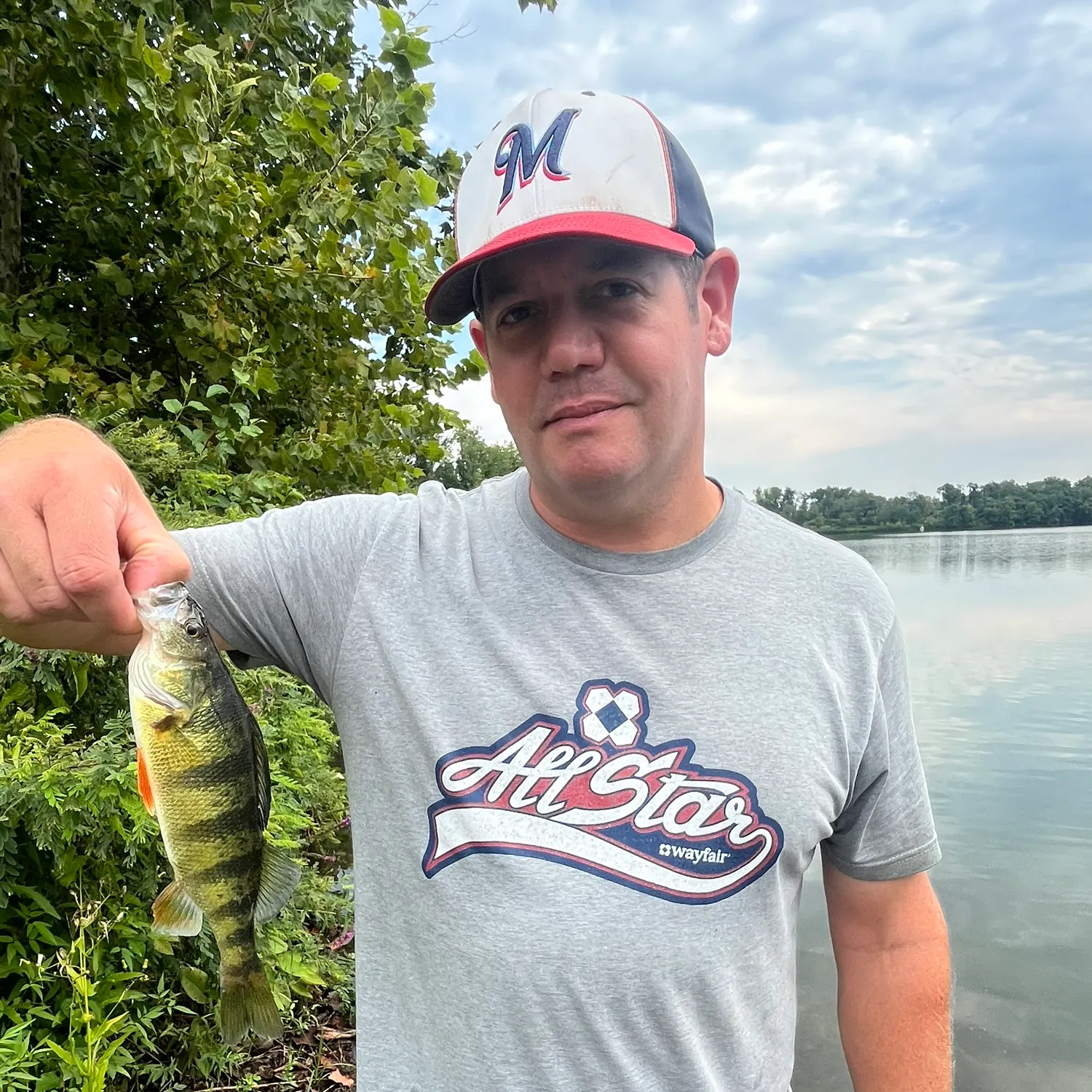 Yellow perch caught on Fishbrain
