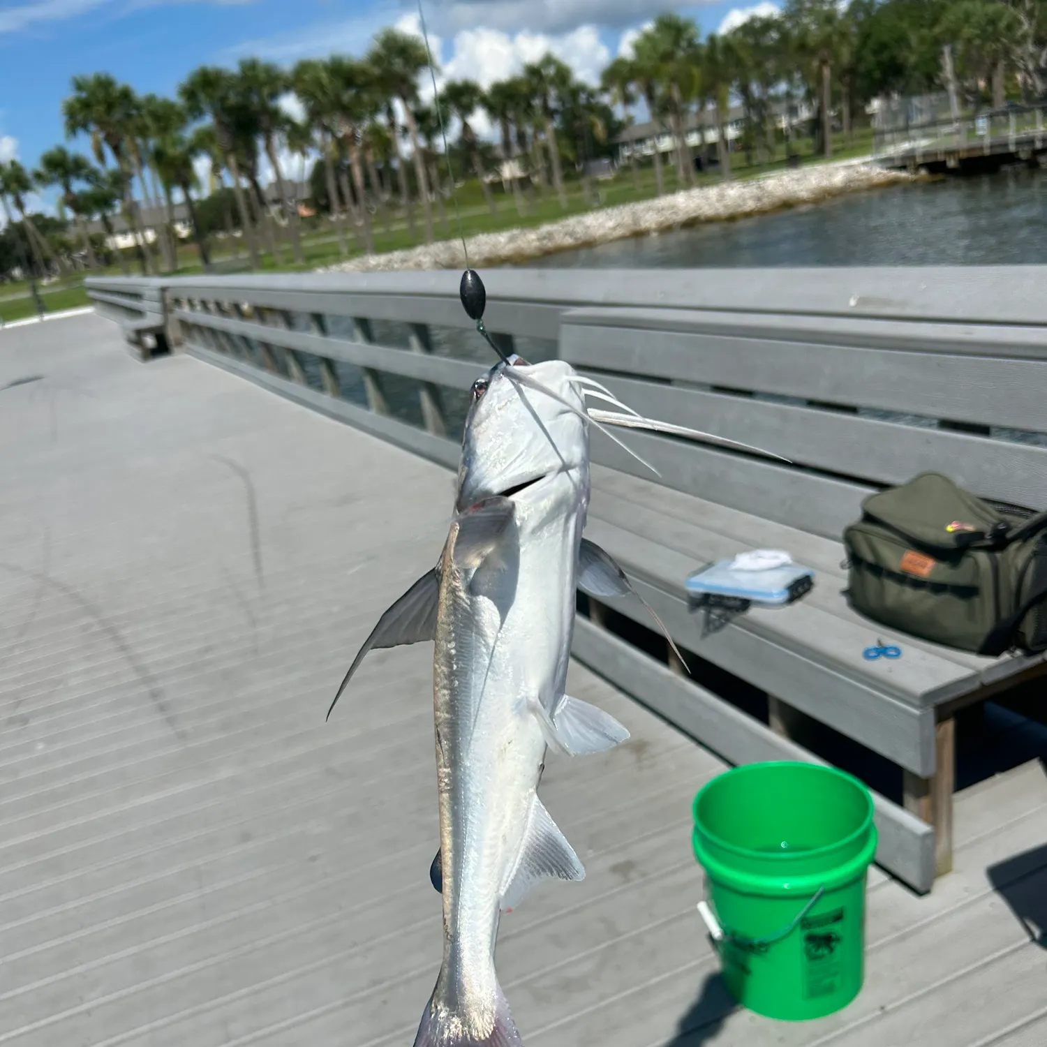 catch