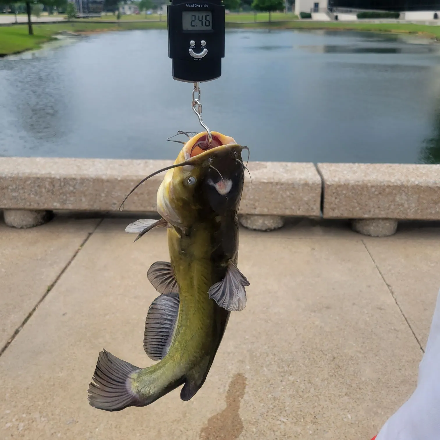 catch