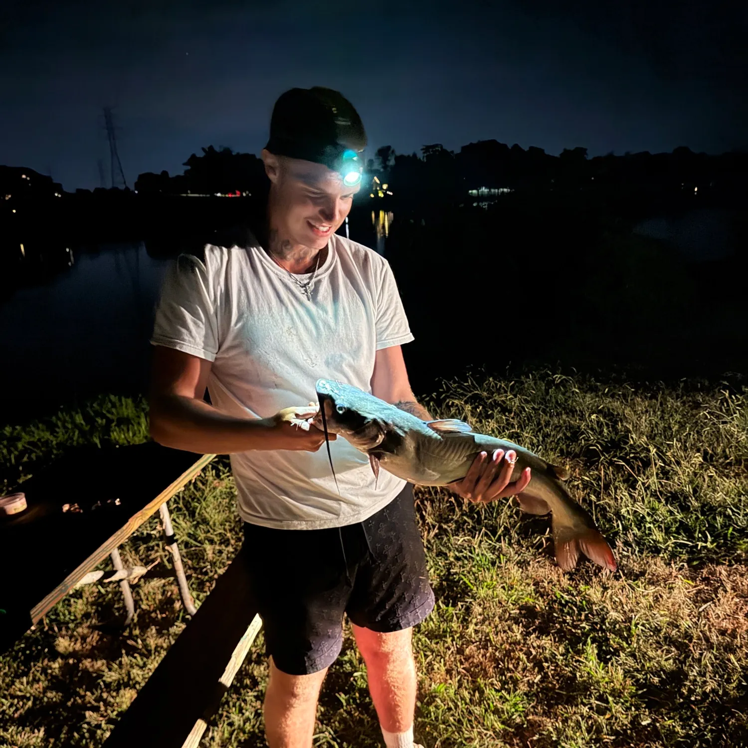 Channel catfish caught on Fishbrain