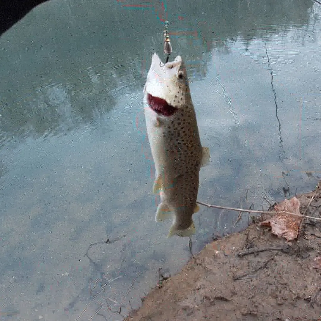 Post image from KayakSoldier