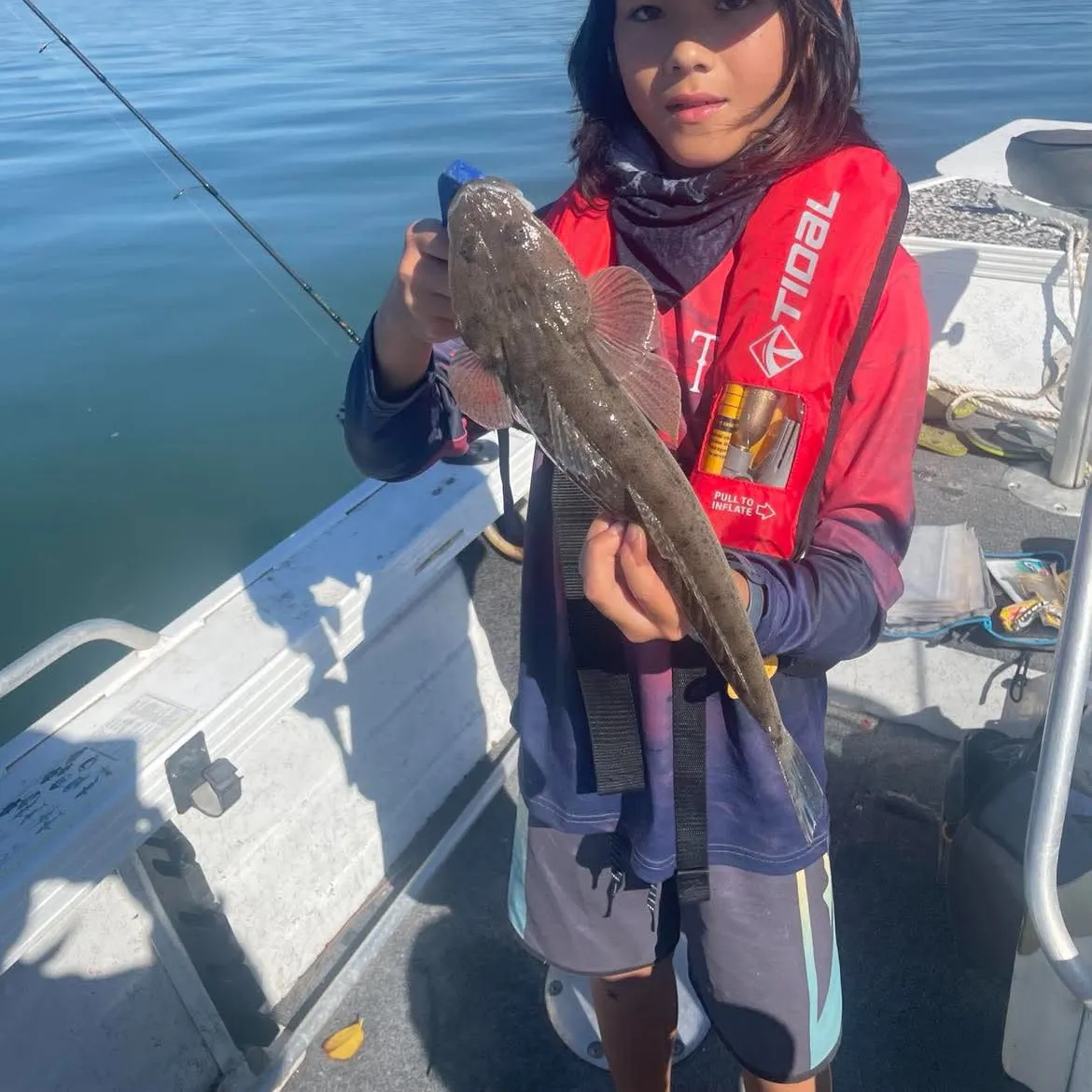 Dusky flathead caught on Fishbrain